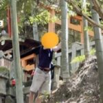 レス1番のリンク先のサムネイル画像