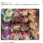 レス13番の画像1