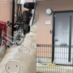 レス1番のリンク先のサムネイル画像