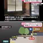 レス1番の画像2