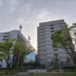 レス1番のリンク先のサムネイル画像