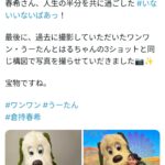 レス1番の画像1