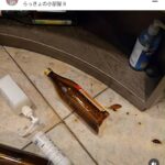 レス1番の画像3