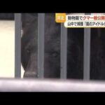 レス1番のリンク先のサムネイル画像