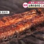 レス1番のリンク先のサムネイル画像