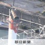 レス1番のリンク先のサムネイル画像