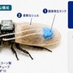 レス3番の画像2
