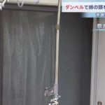 レス1番のリンク先のサムネイル画像
