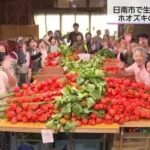 レス1番のリンク先のサムネイル画像