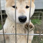 レス7番の画像1