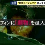 レス1番のリンク先のサムネイル画像