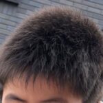 レス1番の画像1