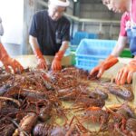レス1番のリンク先のサムネイル画像