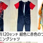 レス1番のリンク先のサムネイル画像