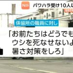 レス1番のリンク先のサムネイル画像