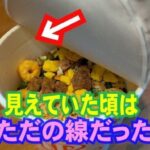 レス1番のリンク先のサムネイル画像