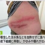 レス1番の画像2