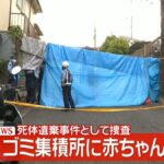 レス1番のリンク先のサムネイル画像