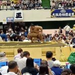 レス1番のリンク先のサムネイル画像