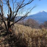 レス1番のリンク先のサムネイル画像