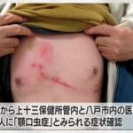 レス1番の画像1