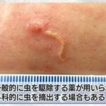 レス1番の画像3